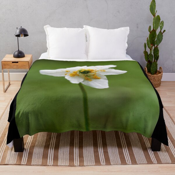 Item preview, Just one visitor. Wood anemone designed and sold by Jouko Lehto Photography.