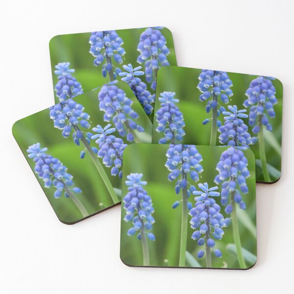 Item preview, As blue as it comes. Garden grape-hyacinth designed and sold by Jouko Lehto Photography.