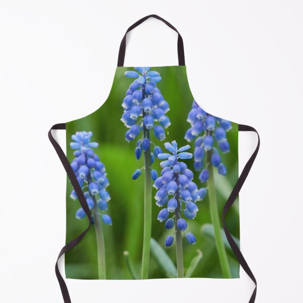 Item preview, As blue as it comes. Garden grape-hyacinth designed and sold by Jouko Lehto Photography.