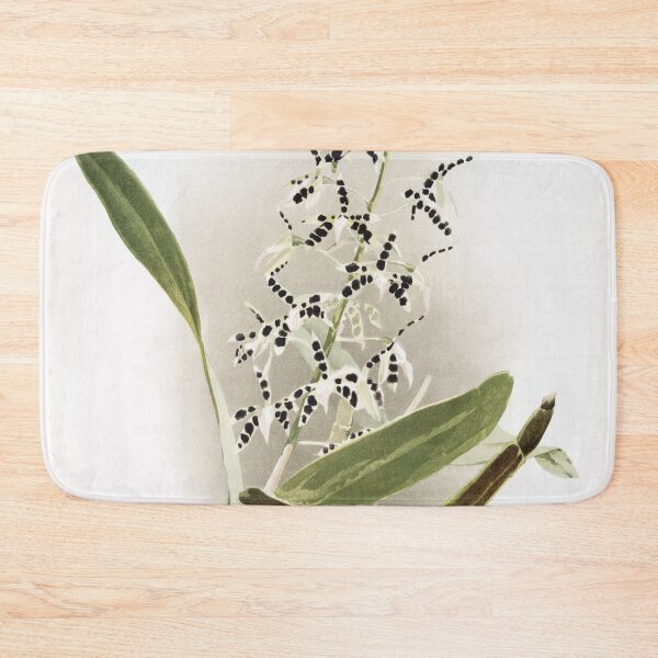 Item preview, Reichenbachia: Orchids Illustrated and Described designed and sold by EsotericBotanic.