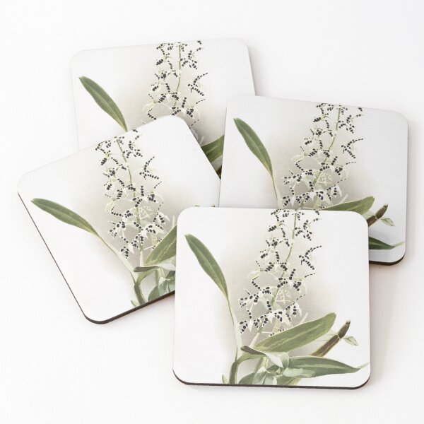Item preview, Reichenbachia: Orchids Illustrated and Described designed and sold by EsotericBotanic.