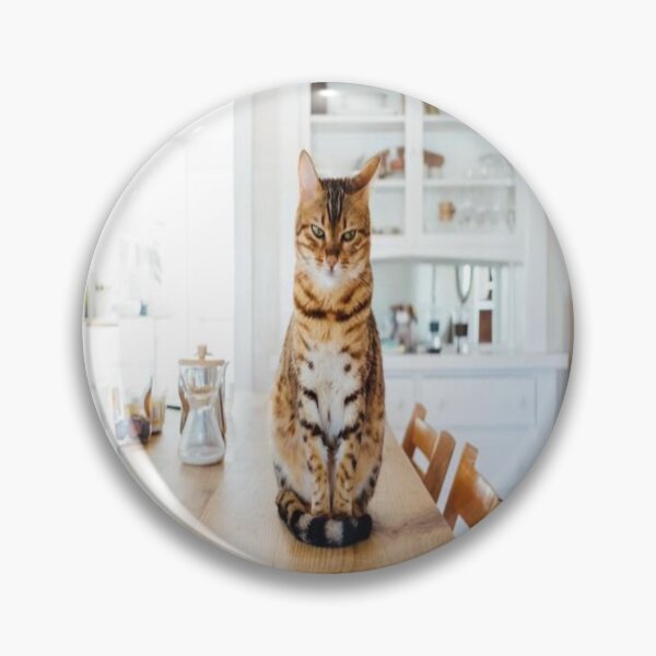 Item preview, Glaring Cat designed and sold by KiwaiiStore.