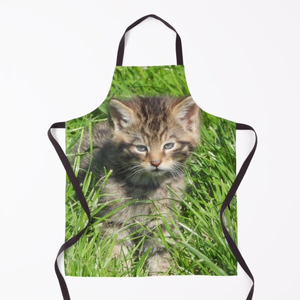 Item preview, An Adorable Scottish Wildcat Kitten designed and sold by Karen Thomson.