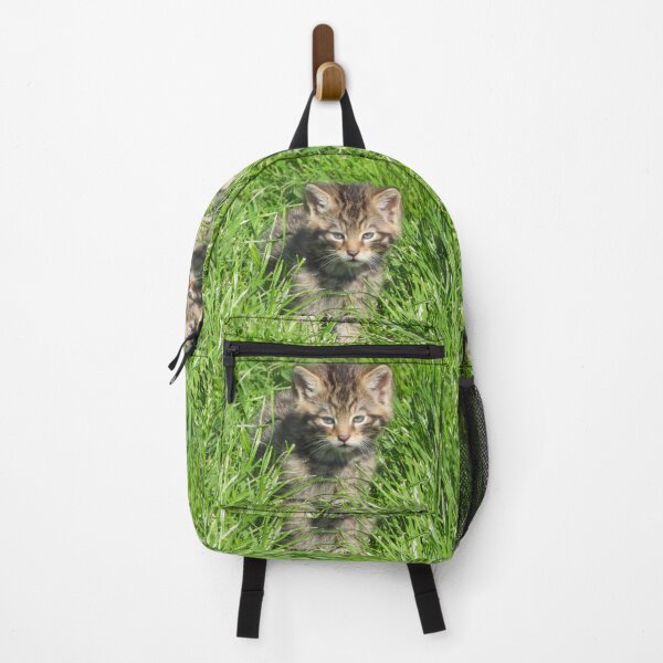 Item preview, An Adorable Scottish Wildcat Kitten designed and sold by Karen Thomson.