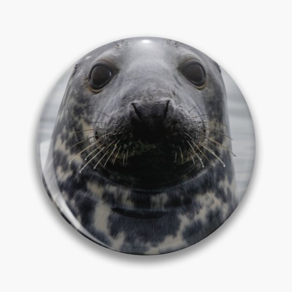 Item preview, The Curious One designed and sold by DiFigianoPhoto.