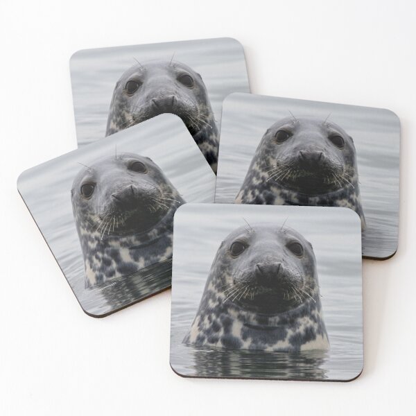 Item preview, The Curious One designed and sold by DiFigianoPhoto.