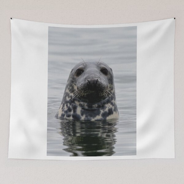 Item preview, The Curious One designed and sold by DiFigianoPhoto.
