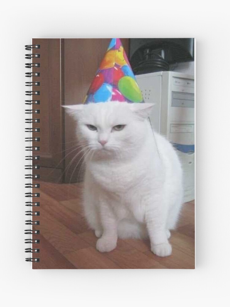 Funny birthday cat meme Funny birthday cat meme