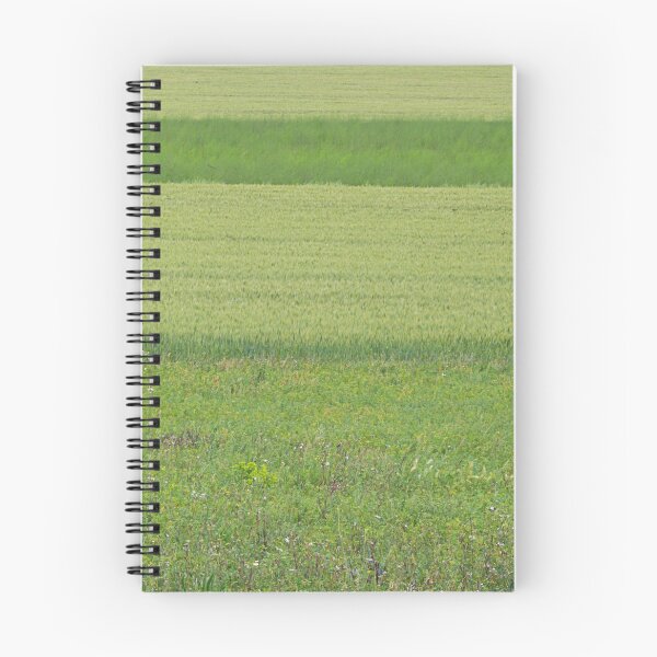 Item preview, Green lines. designed and sold by Paul Pasco.