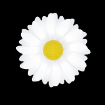 Artwork thumbnail, Daisy Pattern by QueenDesign1