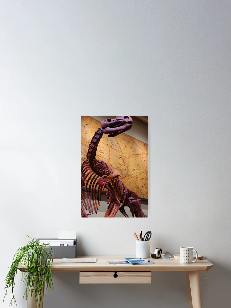 Thumbnail 2 of 3, Poster, Muttaburrasaurus designed and sold by R-Walker.