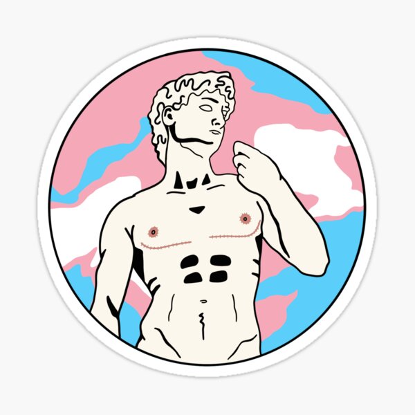 DAVID’S TOP SURGERY (TRANS MARBLE) Sticker