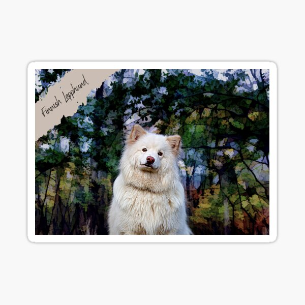 Finnish Lapphund Dog Artwork Sticker