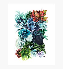 Spring Photographic Print