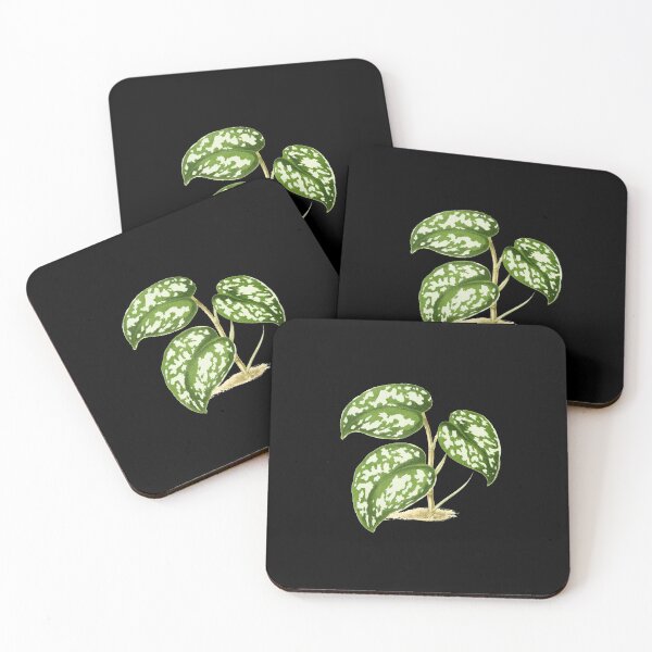 Item preview, Scindapsus pictus - Rothschild - Botanical Illustration designed and sold by chimakingthings.