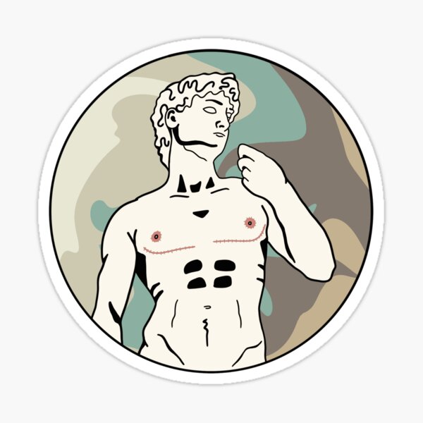 DAVID’S TOP SURGERY (MARSH MARBLE) Sticker