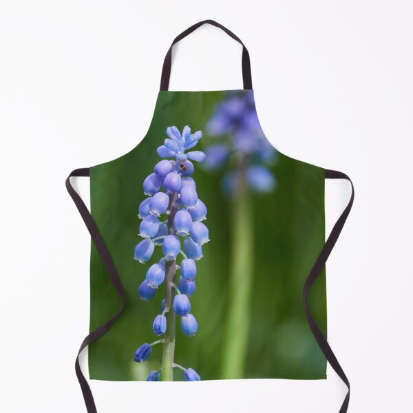 Item preview, Enjoying the sun. Garden grape-hyacinth designed and sold by Jouko Lehto Photography.