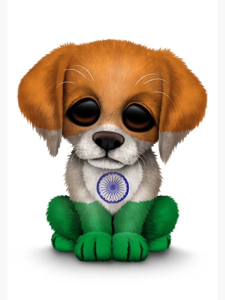 hindustani dog