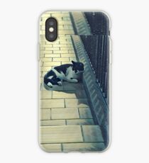 Cat in Snow iPhone Case