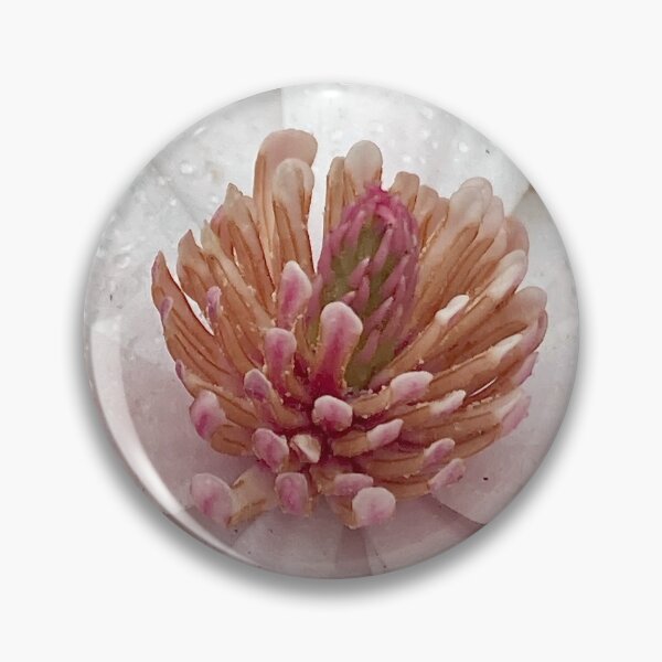Item preview, ENDANGERED: Floral Closeup of Star Magnolia designed and sold by Max Kindly.