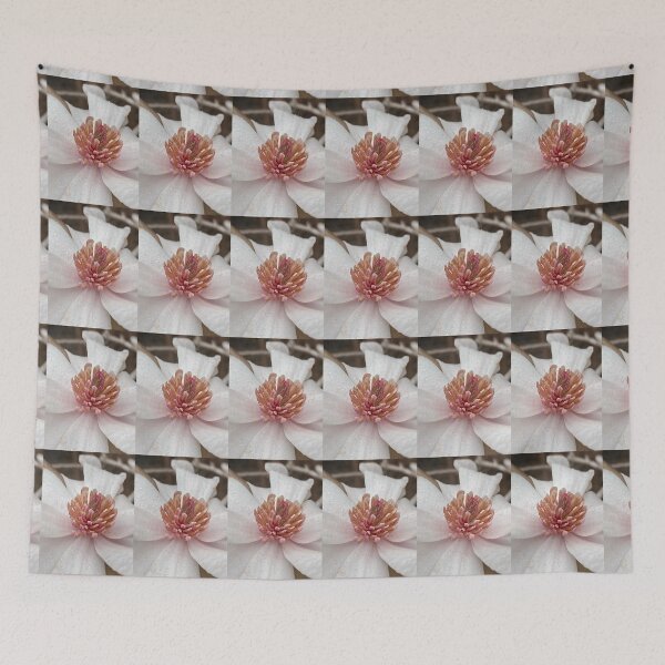 Item preview, ENDANGERED: Floral Closeup of Star Magnolia designed and sold by Max Kindly.
