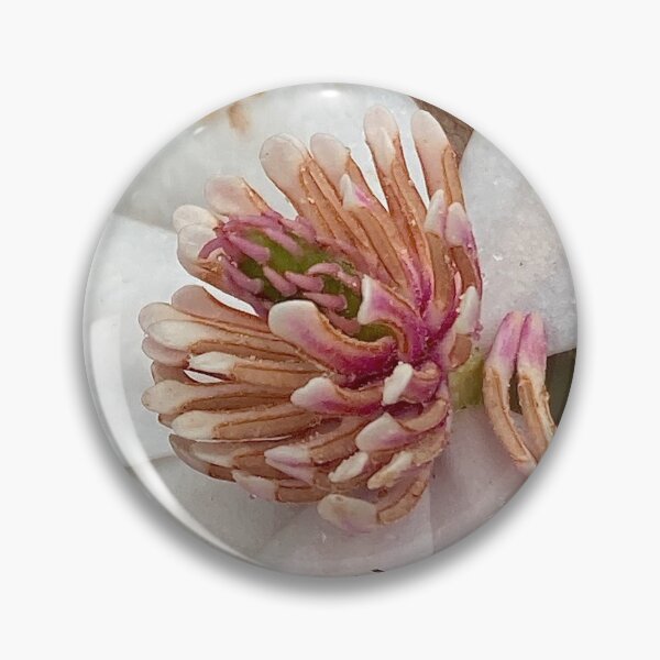 Item preview, Floral Closeup: ENDANGERED MAGNOLIA designed and sold by Max Kindly.