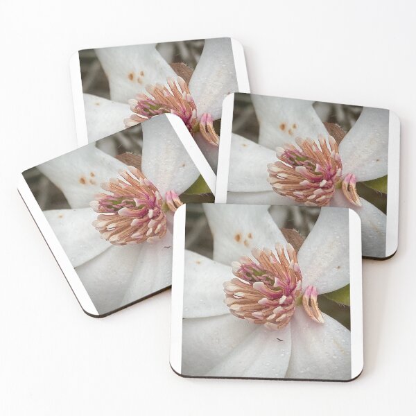 Item preview, Floral Closeup: ENDANGERED MAGNOLIA designed and sold by Max Kindly.