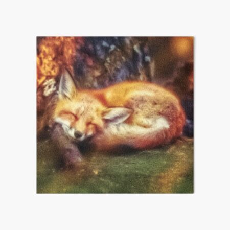 Item preview, Cute Sleeping Red Fox. designed and sold by StarsForgers.