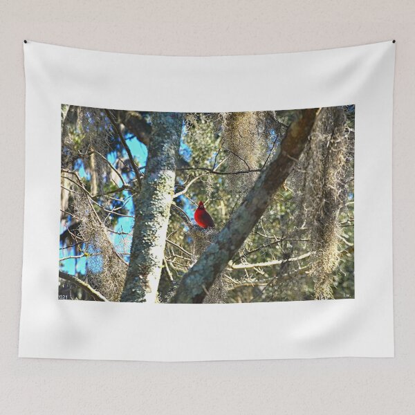 Item preview, A Visitor From Heaven designed and sold by LisaWootenPhoto.