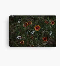 Indian Blanket Canvas Print