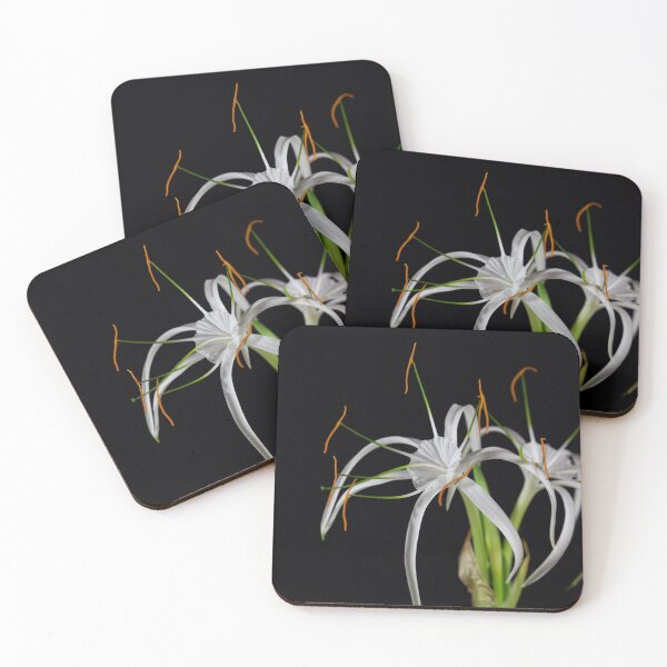 Item preview, Flower of the Spider lily Hymenocallis harrisiana designed and sold by Zosimus.
