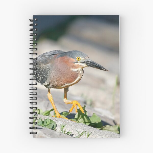 Item preview, Green Heron designed and sold by adjohnson.