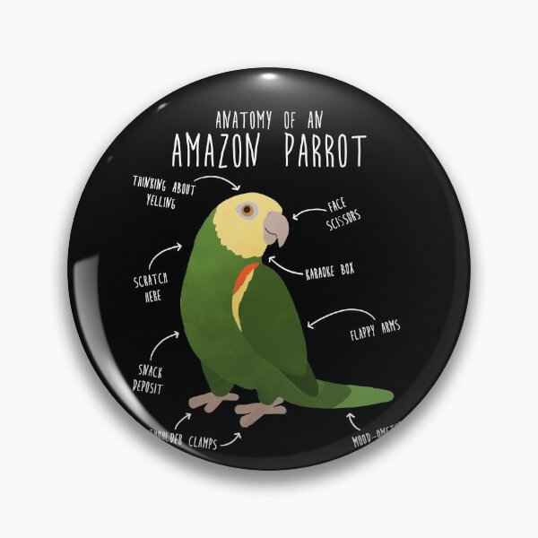 Item preview, Amazon Parrot Anatomy designed and sold by Clara Hollins.