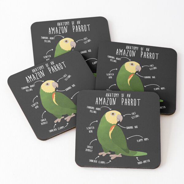 Item preview, Amazon Parrot Anatomy designed and sold by Clara Hollins.