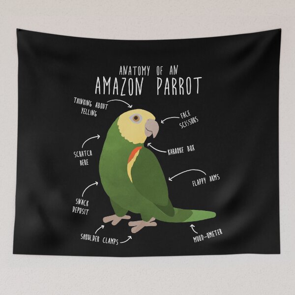 Item preview, Amazon Parrot Anatomy designed and sold by Clara Hollins.