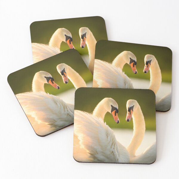 Item preview, Pair of Mute Swans designed and sold by Ryan  Ten.