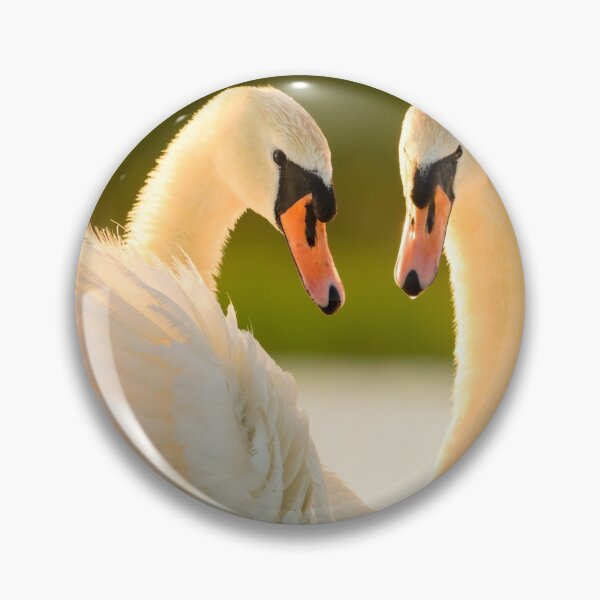 Item preview, Pair of Mute Swans designed and sold by Ryan  Ten.