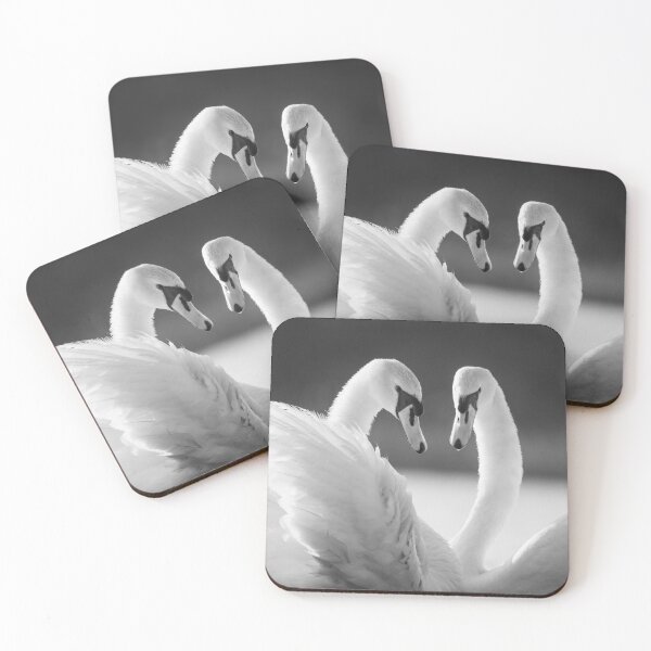 Item preview, Pair of Mute Swans-Monochrome designed and sold by Ryan  Ten.