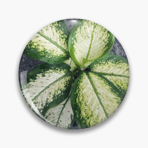 Item preview, Garden plants  designed and sold by Bossmommy84.