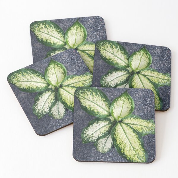 Item preview, Garden plants  designed and sold by Bossmommy84.