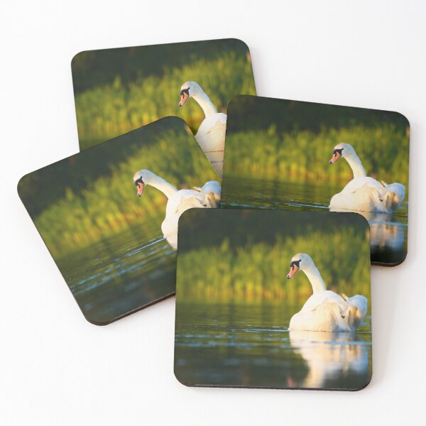 Item preview, Mute Swan designed and sold by Ryan  Ten.