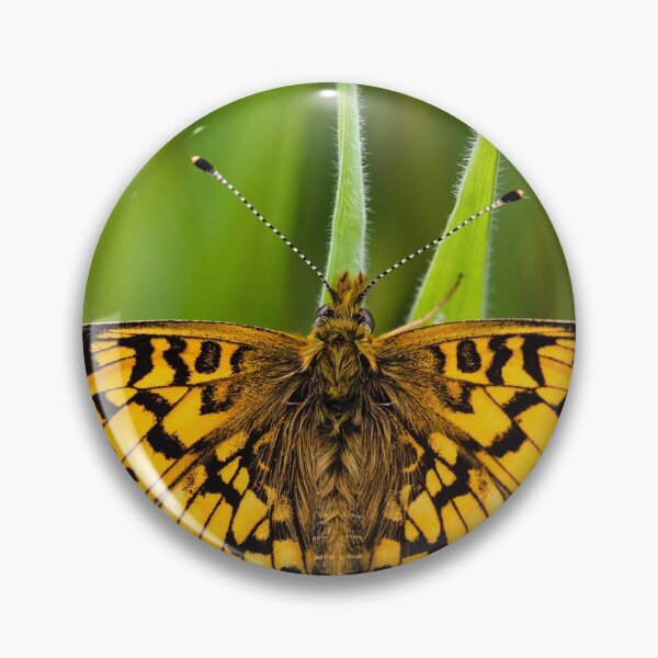 Item preview, Small Pearl Bordered Fritillary designed and sold by heidipics.