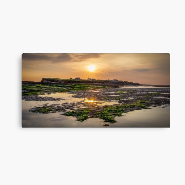 Green and Gold Canvas Print