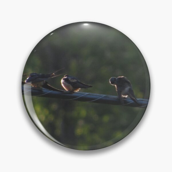 Item preview, Barn Swallows birds on the line designed and sold by laceyyyann34.