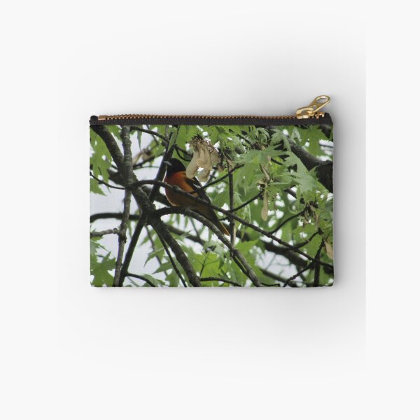 Artikelvorschau, Baltimore Oriole Vogel entworfen und verkauft von laceyyyann34.