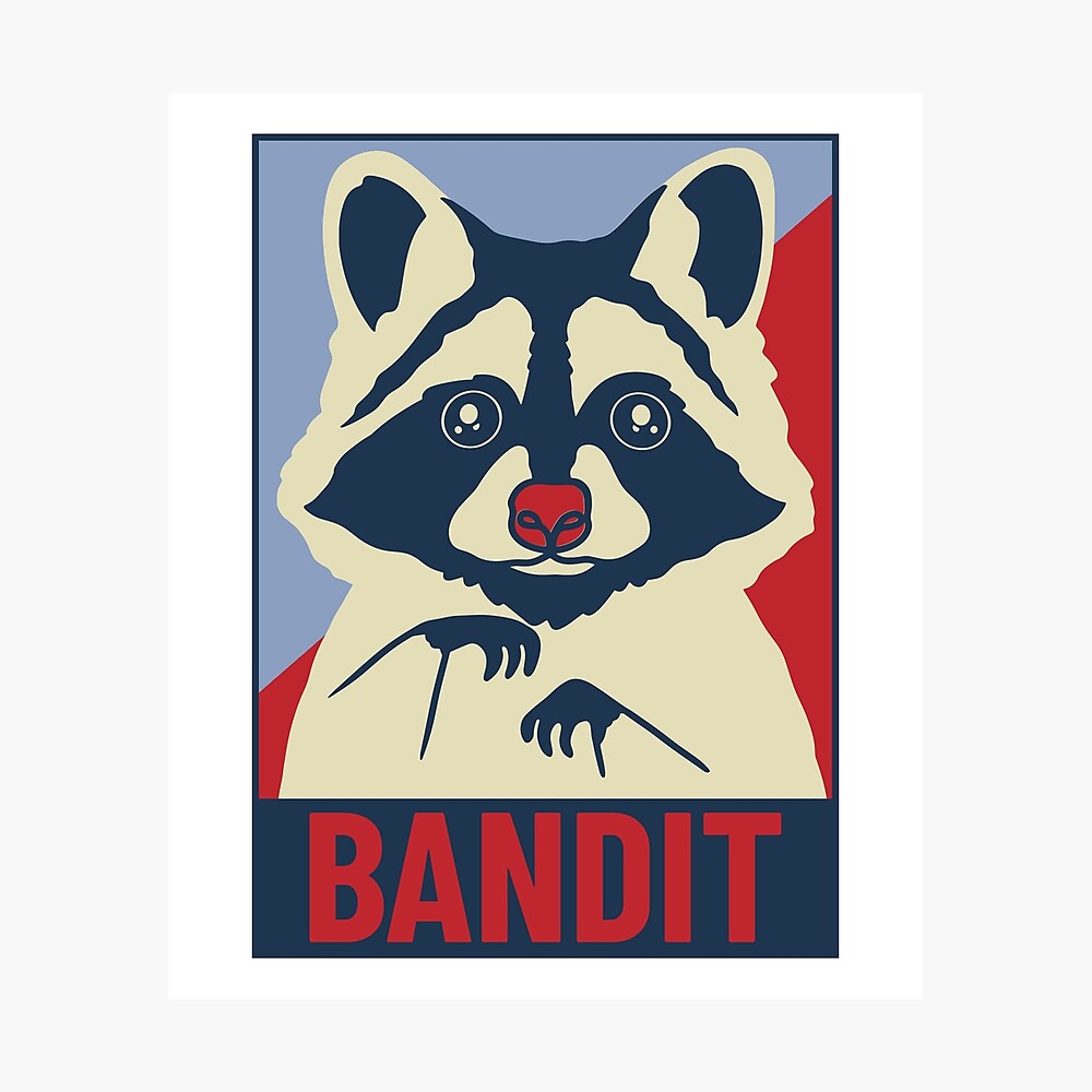 Custom Name For Disney Fans Rocket Raccoon I'm A Trash Panda