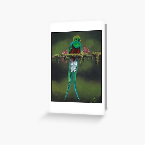 Resplendent Quetzal Greeting Card