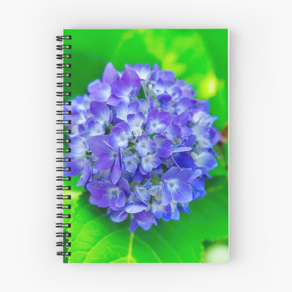 Item preview, Blue Hydrangea designed and sold by Kay Brewer.