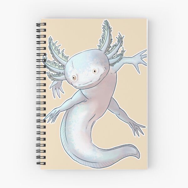 Artikelvorschau, Unbeschrifteter Axolotl-Stolz (transparent) entworfen und verkauft von MatchaaMilkTea.