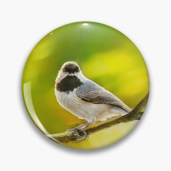 Item preview, You Talking To Me? designed and sold by Kay Brewer.